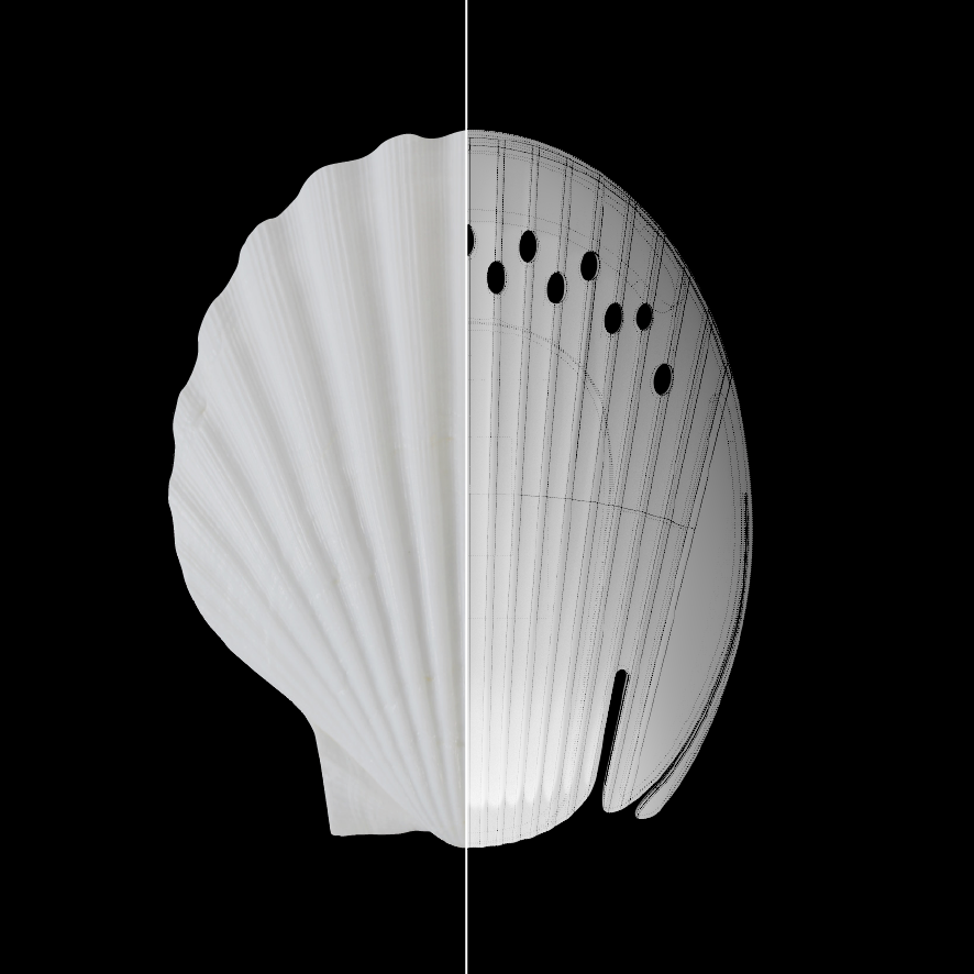 Forward WIP Surf Cap Bump Shell