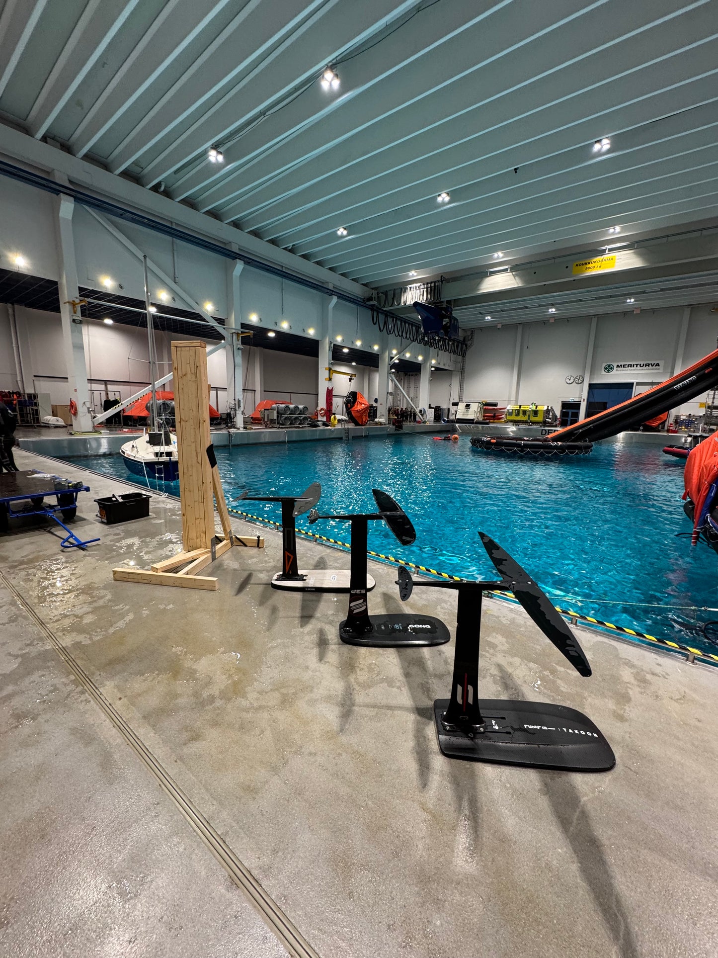 Foilaustreeni Meriturvan altaalla