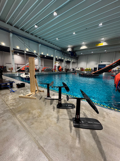 Foilaustreeni Meriturvan altaalla